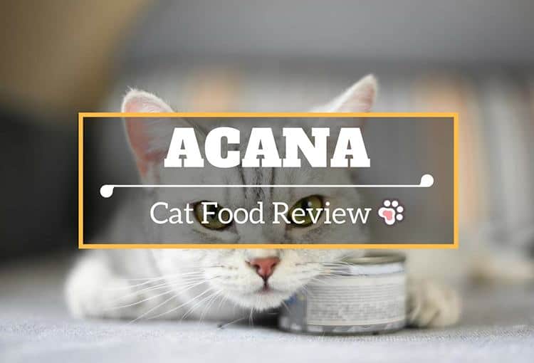 Acana Cat Food Reviews TinPaw