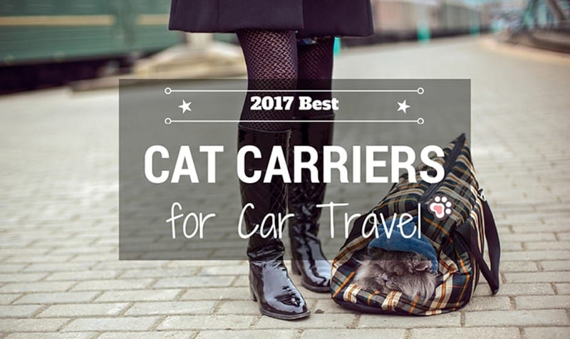 Best Cat Carriers for Car Travel