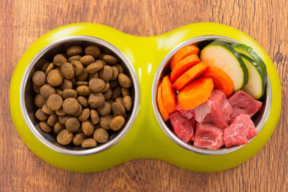 Making Homemade Cat Food: The Ultimate Guide - 2019 ...