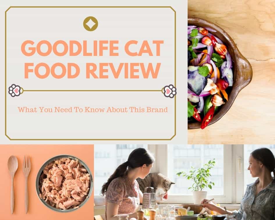 Goodlife Cat Food Review What You Need To Know About This Brand Tinpaw,Vegan Pie Crust Minimalist Baker