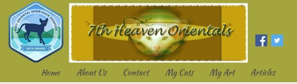 7th heaven cats