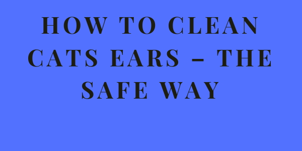 How to Clean Cats Ears