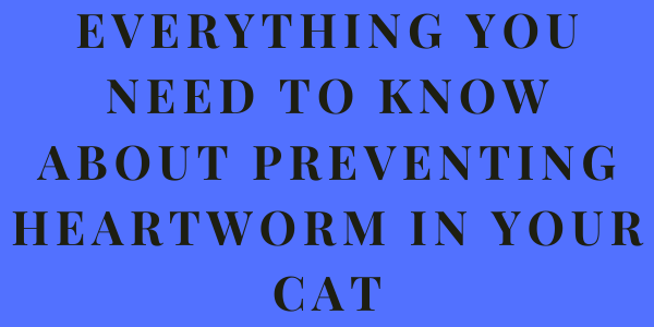 Preventing Heartworm