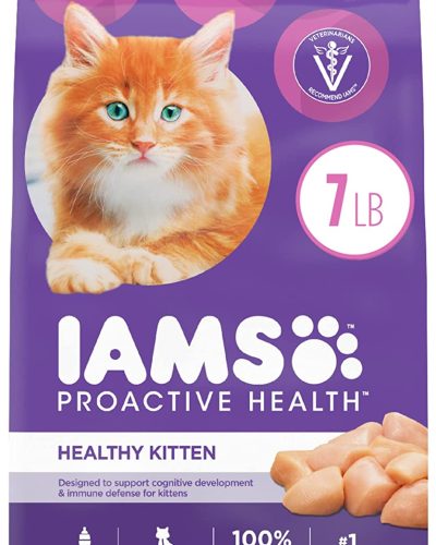 IAMS PROACTIVE HEALTH Kitten Dry Cat Food