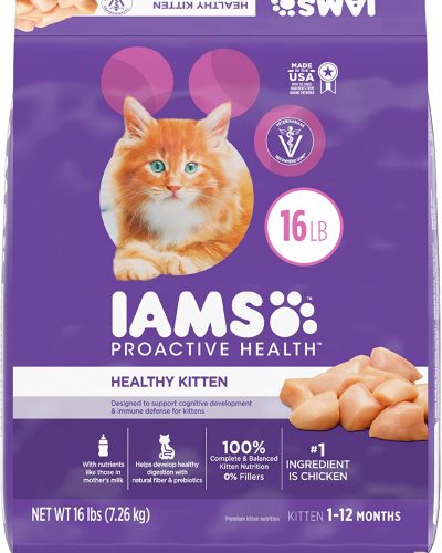 IAMS PROACTIVE HEALTH Kitten Dry Cat Food